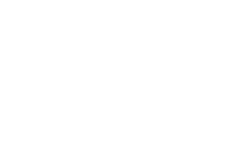 Rico Leilões